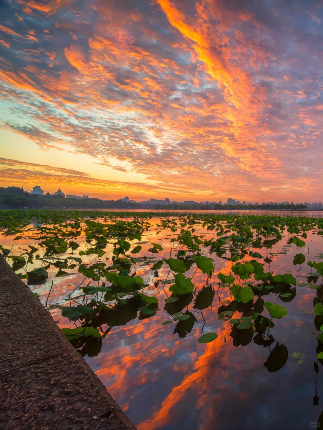 Authentic Hangzhou 1 Day Trip with a Local Guide