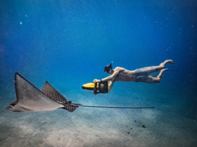 Eco Sea Scooters Snorkeling Academy