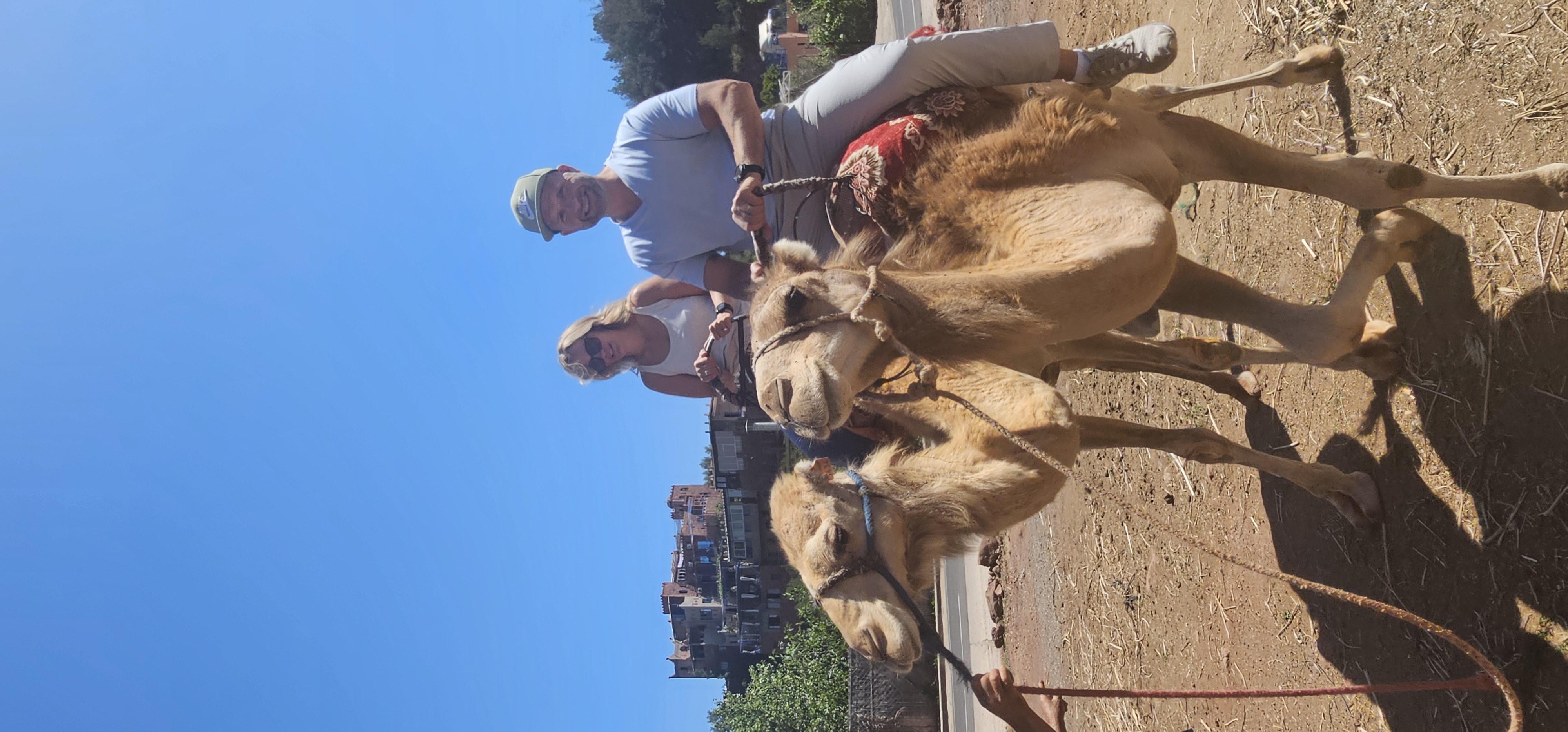 Moroccan Local Tours