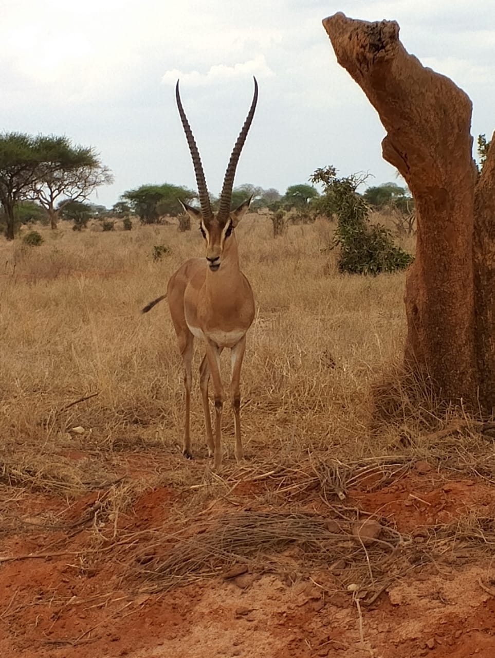 Nice man adventure tours and safaris