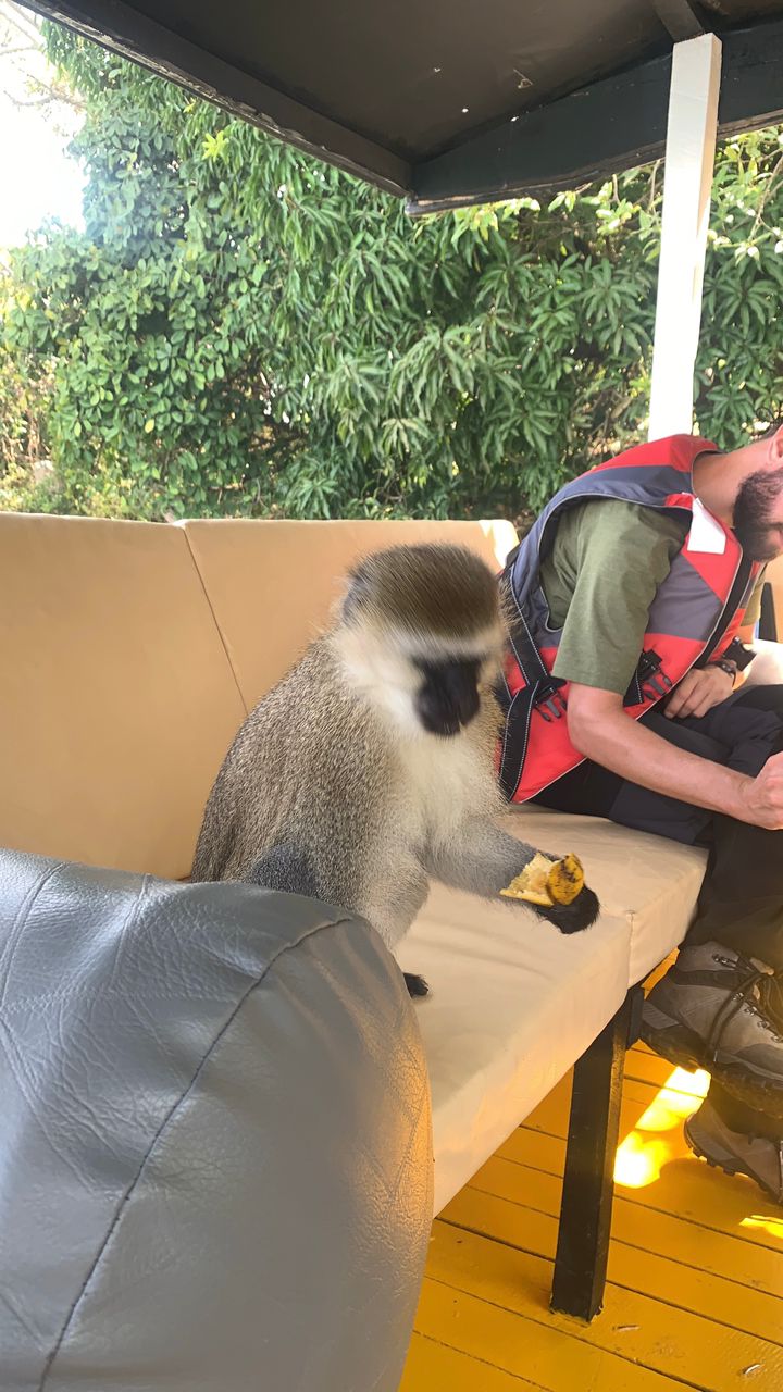 AFRICAN TRAVELLERS Ltd