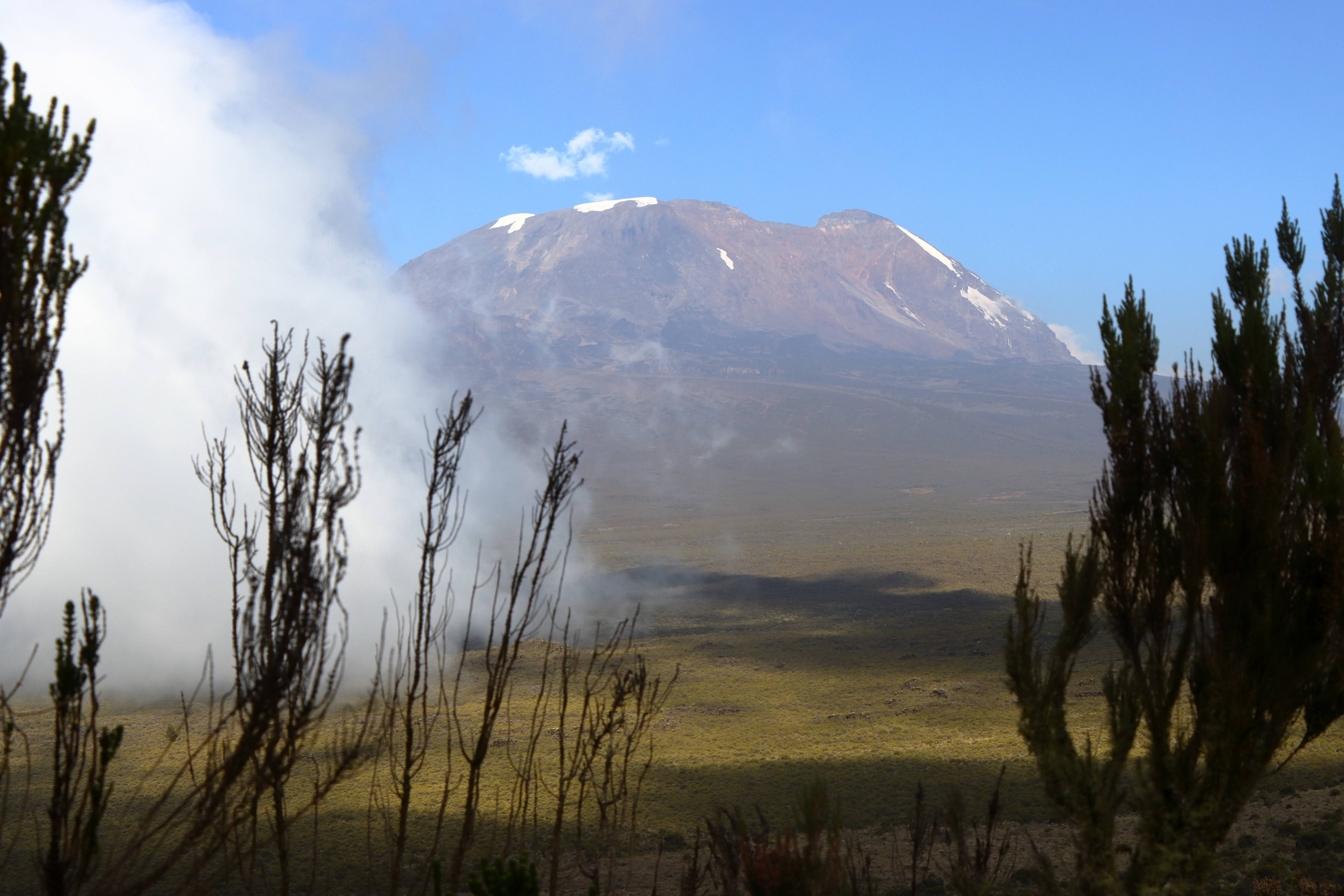 Kilimanjaro Winners And Safaris