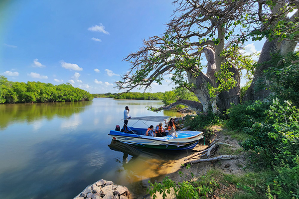 Boat Tours Sri Lanka