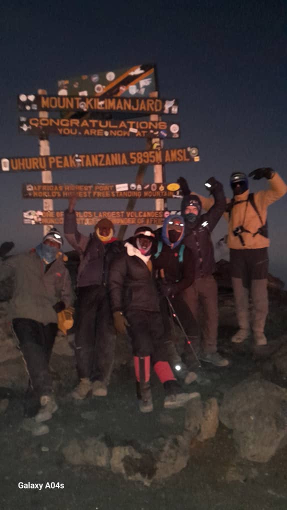 Kilimanjaro Wonders Expeditions Safari