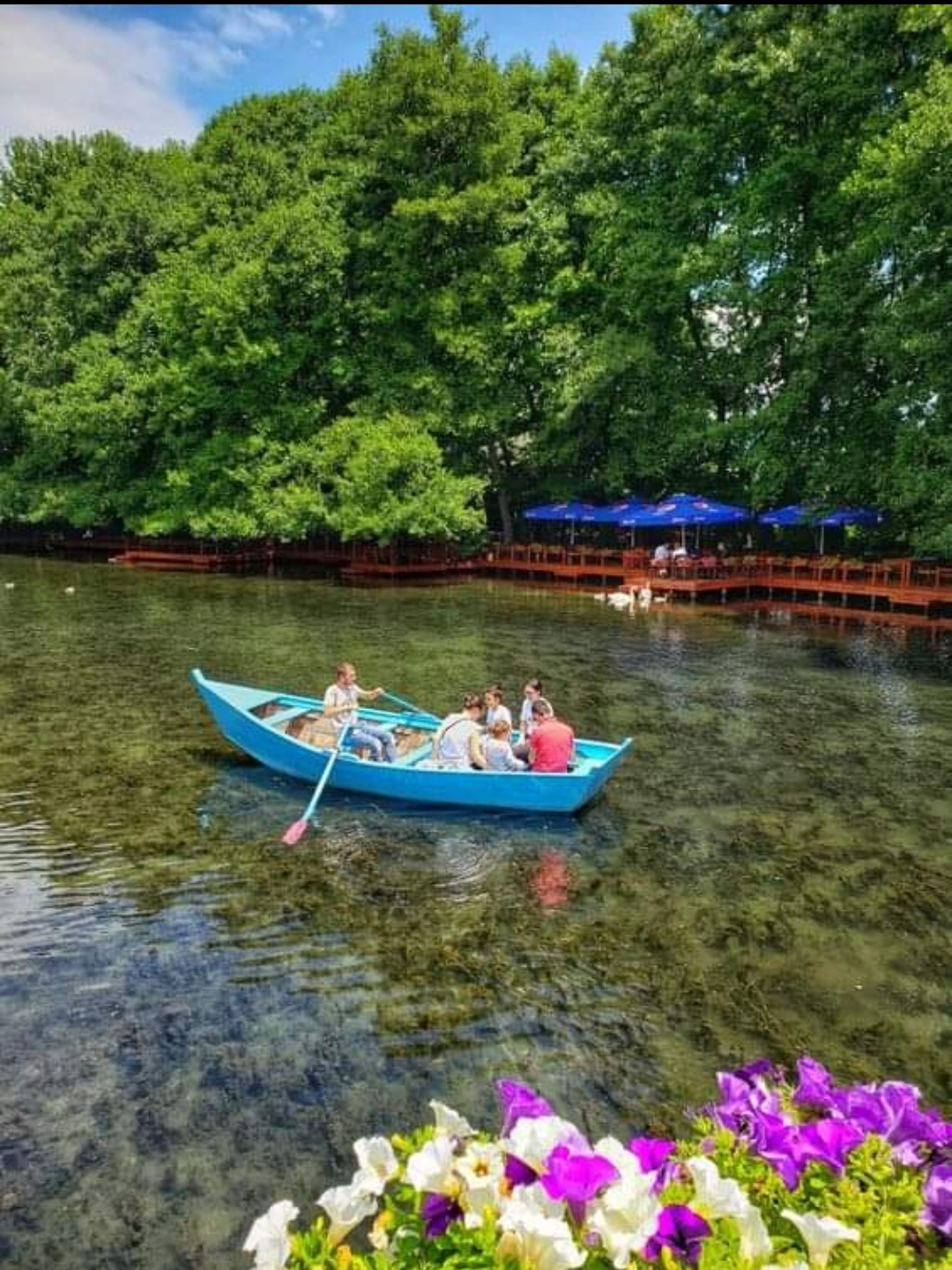 Adea Rental travel and tours