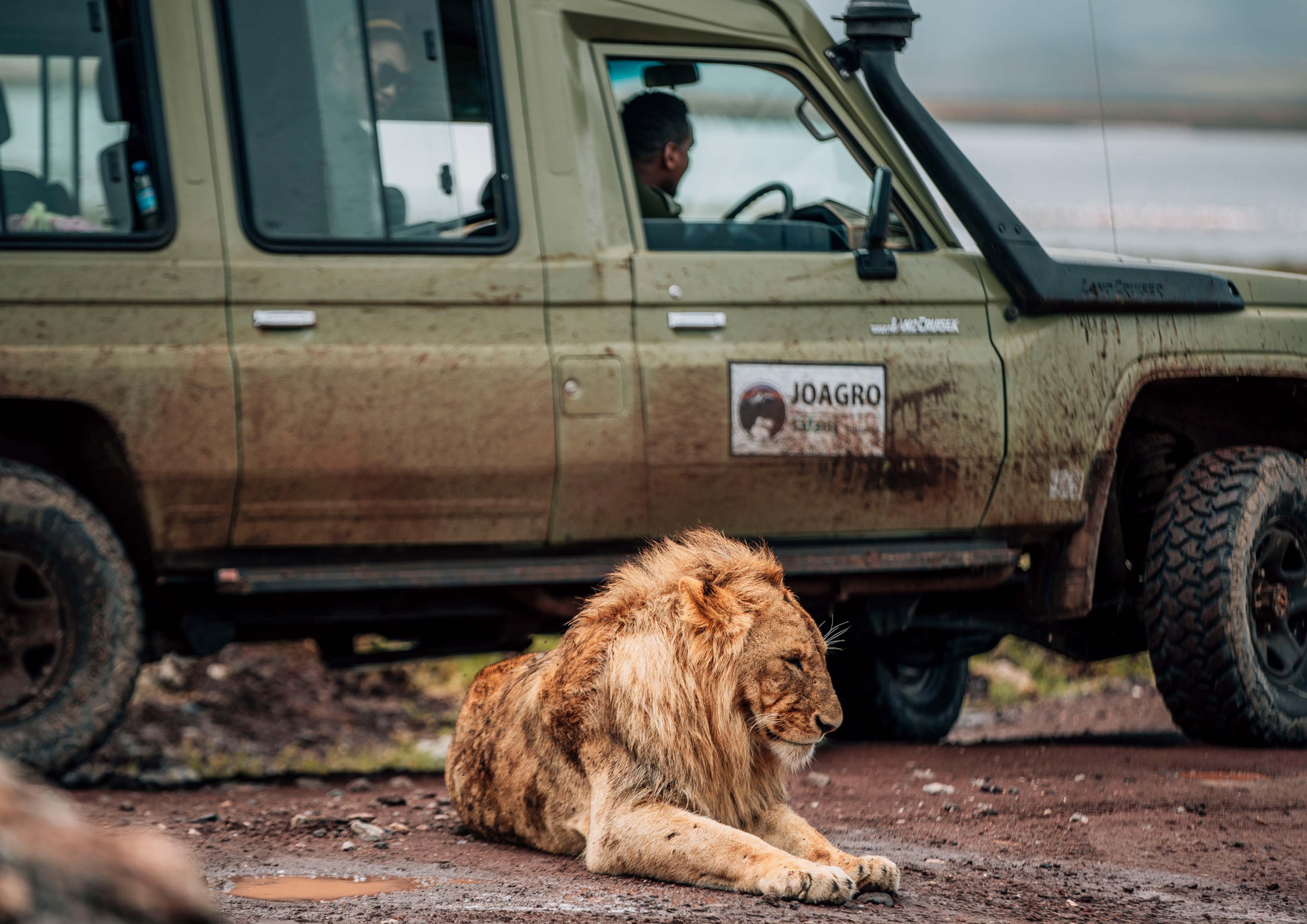 Joagro Safaris Tanzania