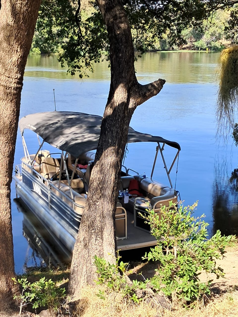 Mannex travel and tours