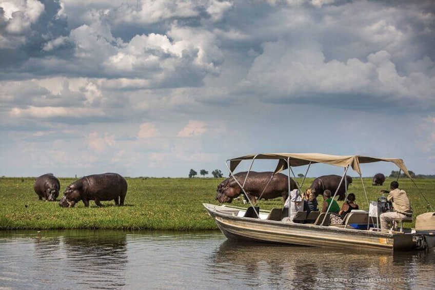Africa Beast Safaris