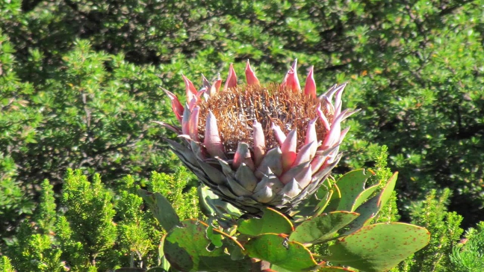 Wineland Sight Seeing