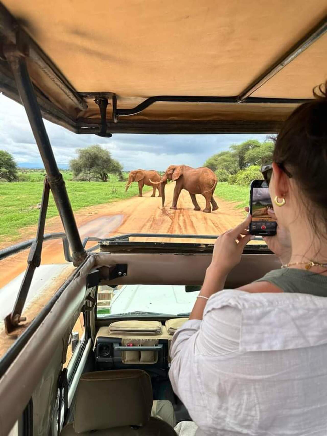 Hakuna Matata Safaris