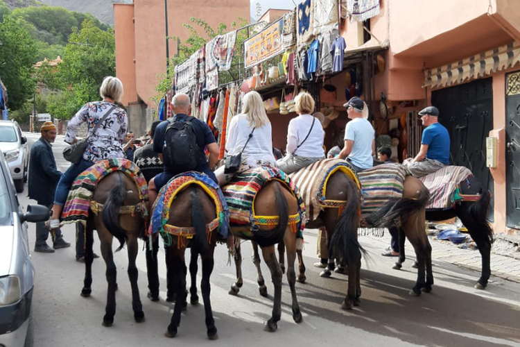 Fes to middle atlas day trip