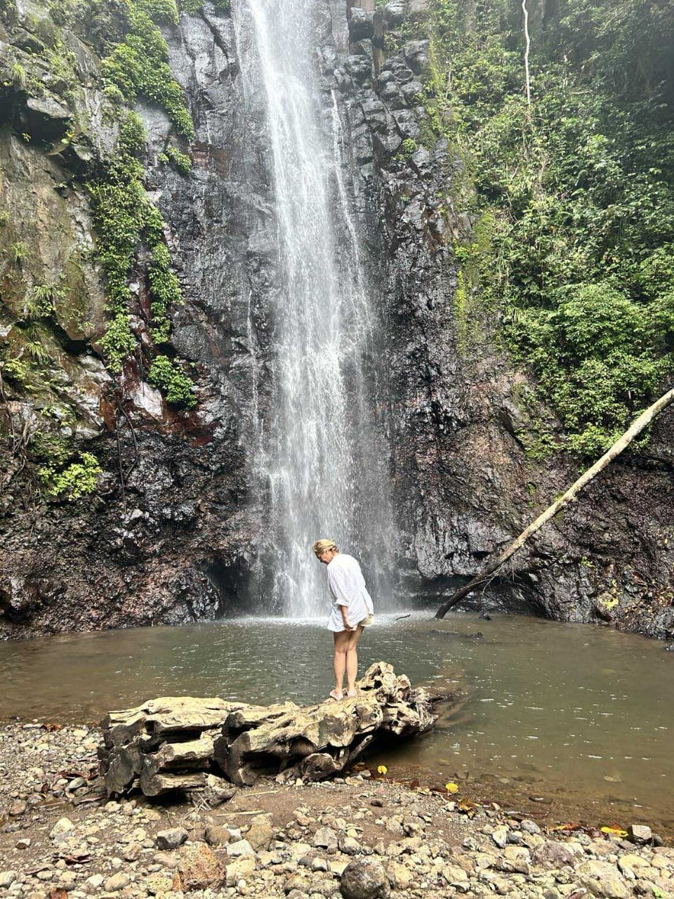 Center coffee mountain and waterfall tour