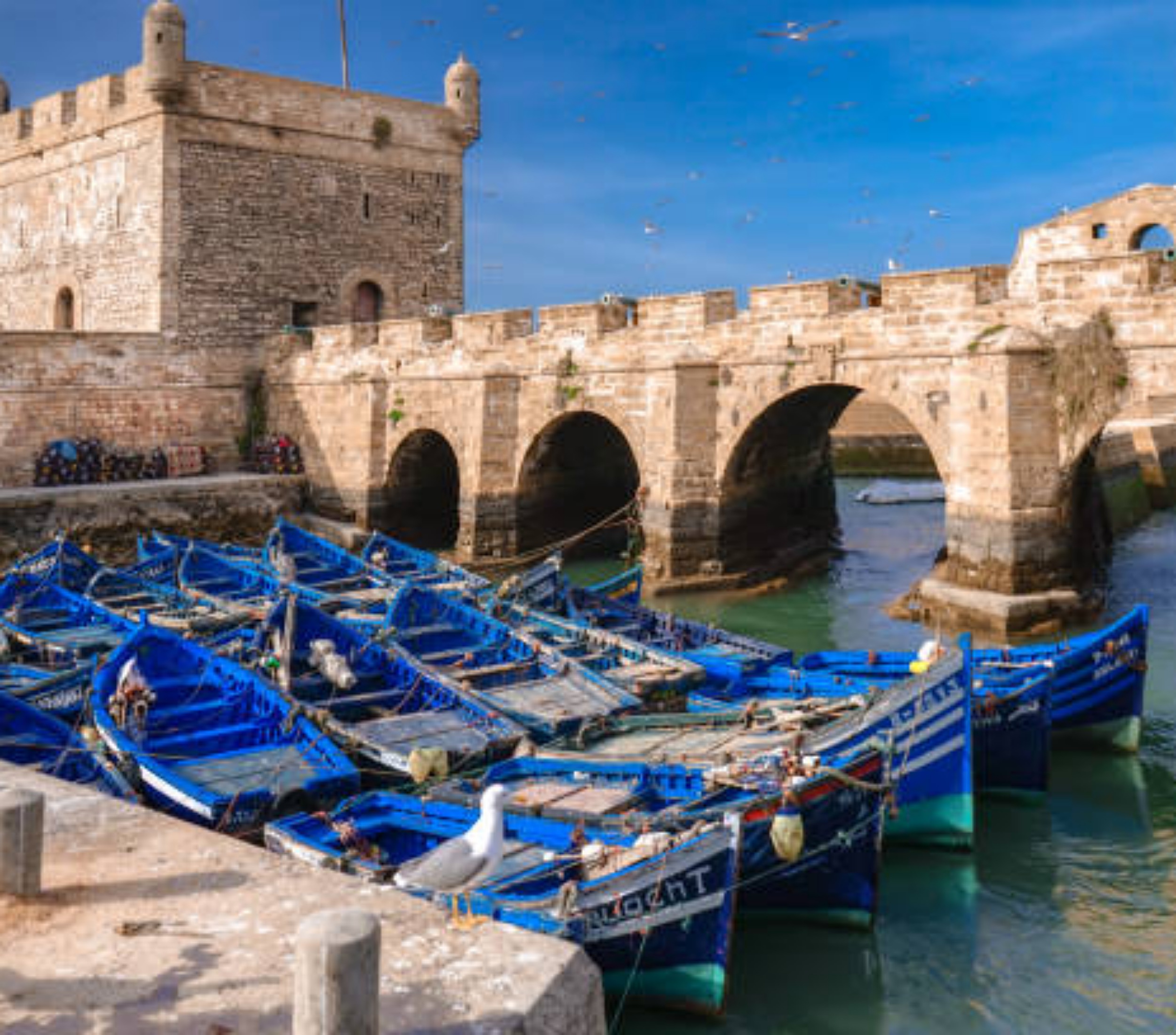 Oussikistours Morocco