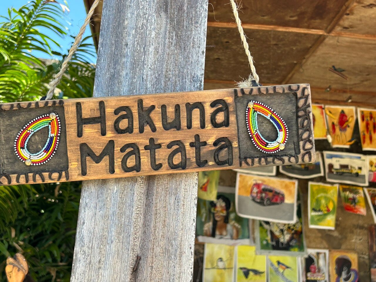 Hakuna Matata Safaris