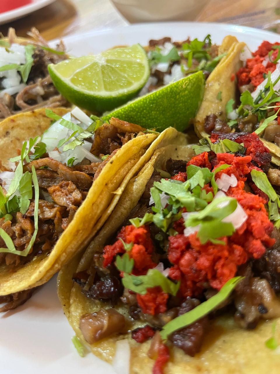 The Lost Taco Food Tours