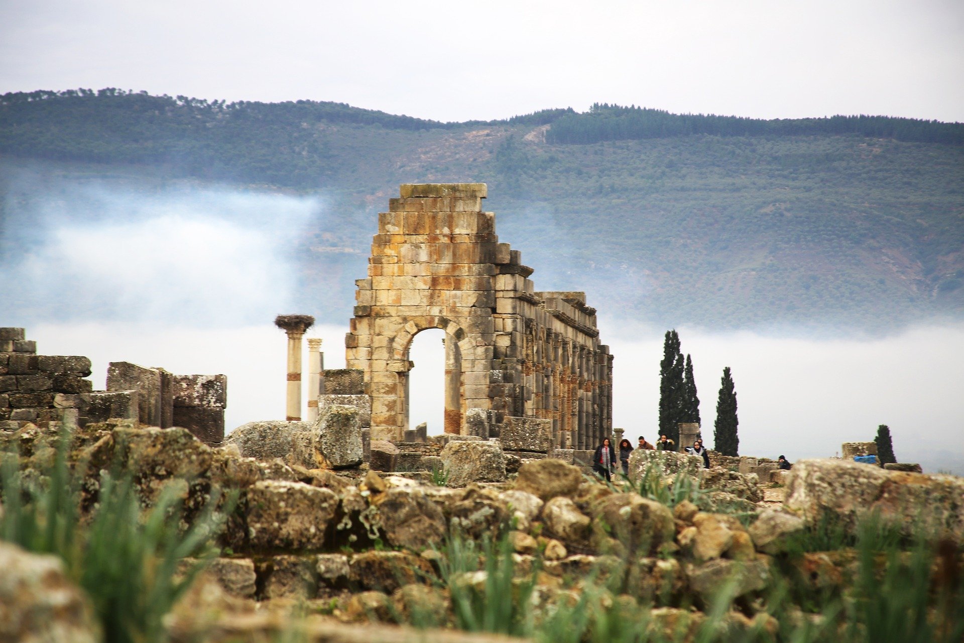 Fez to Volubilis