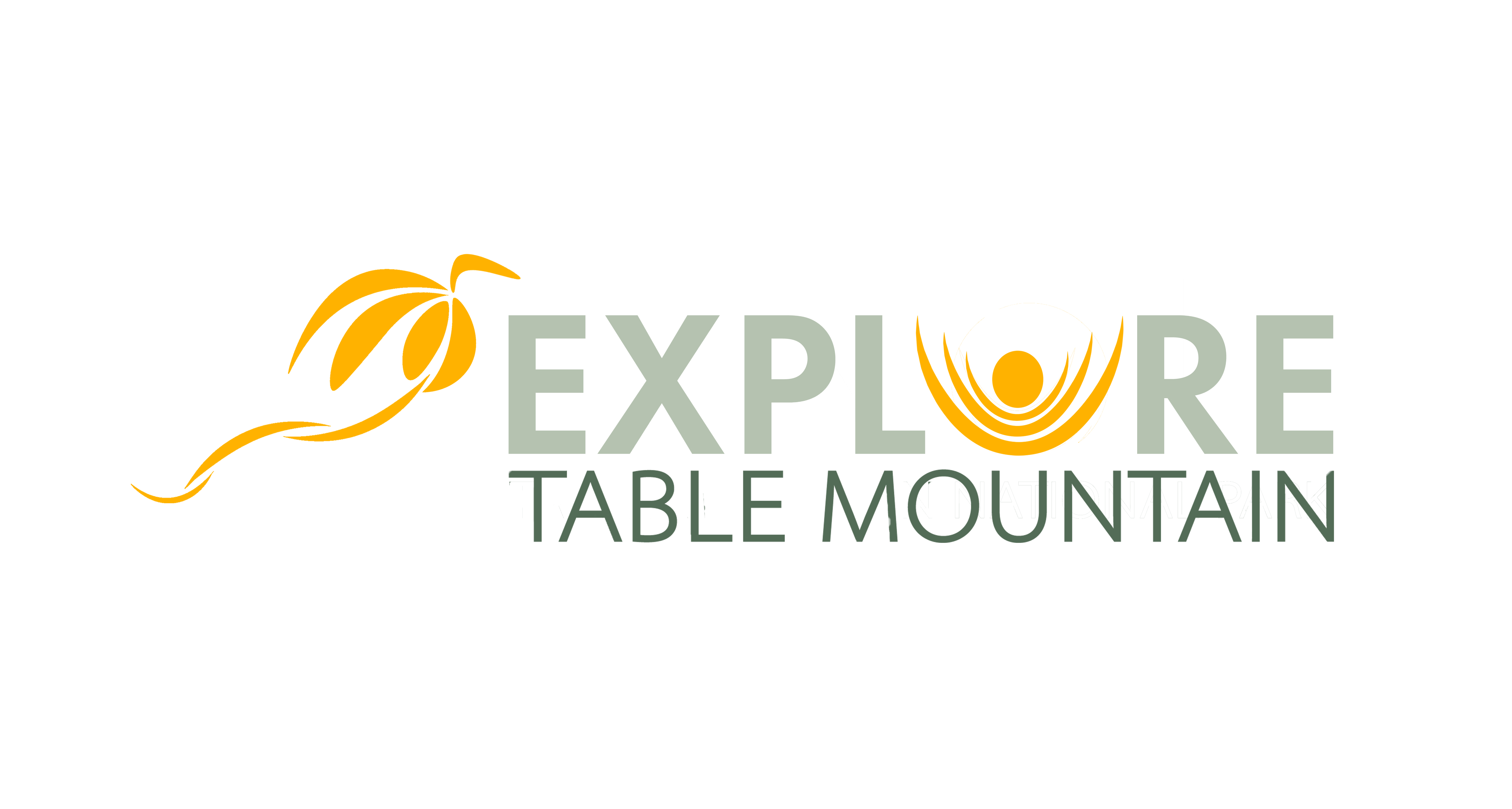 Explore Table Mountain