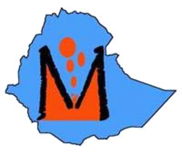 Magma Flow Tours Ethiopia