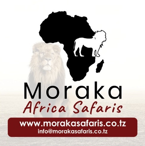 MORAKA AFRICA SAFARIS