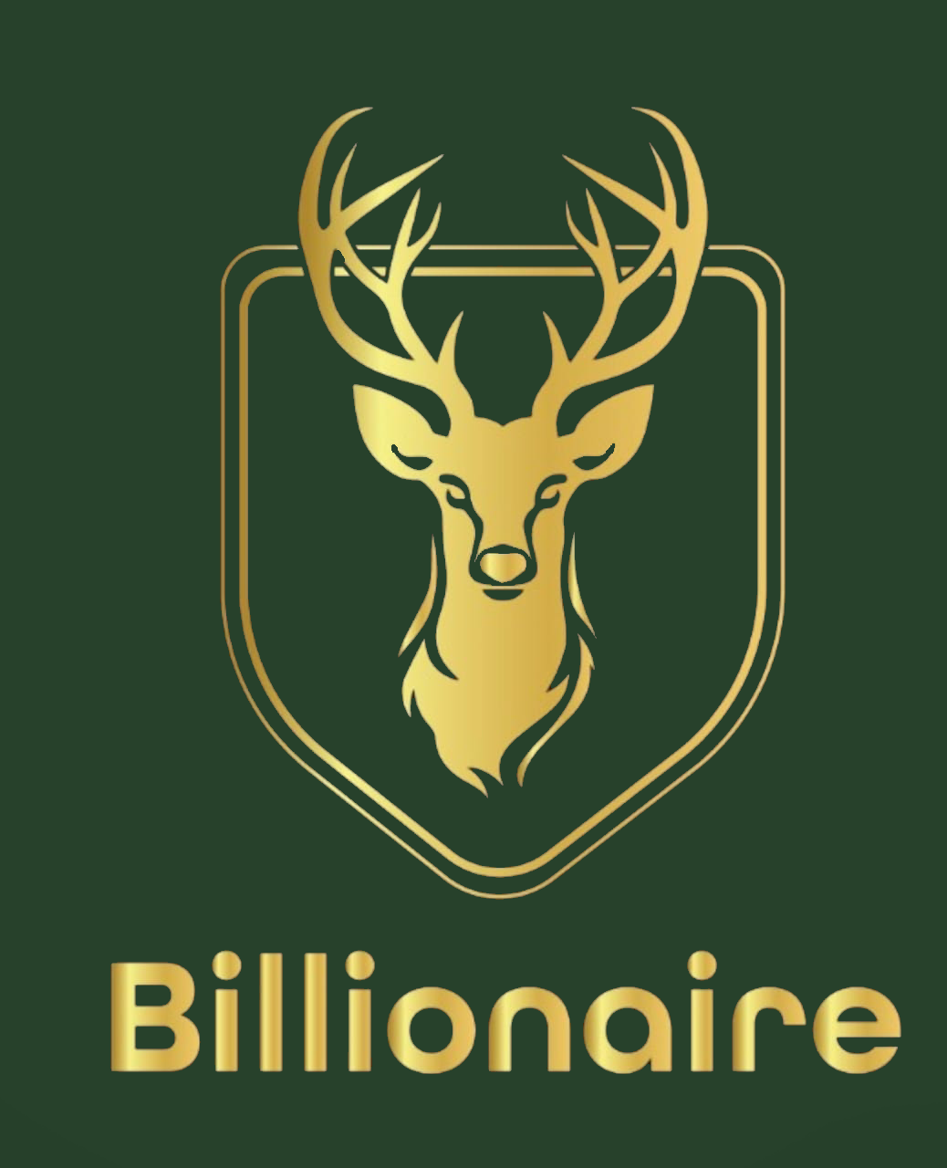 Billionaire Tours
