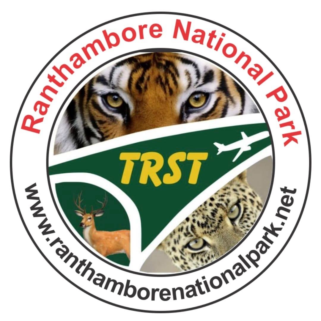The Ranthambhore Safari Tours