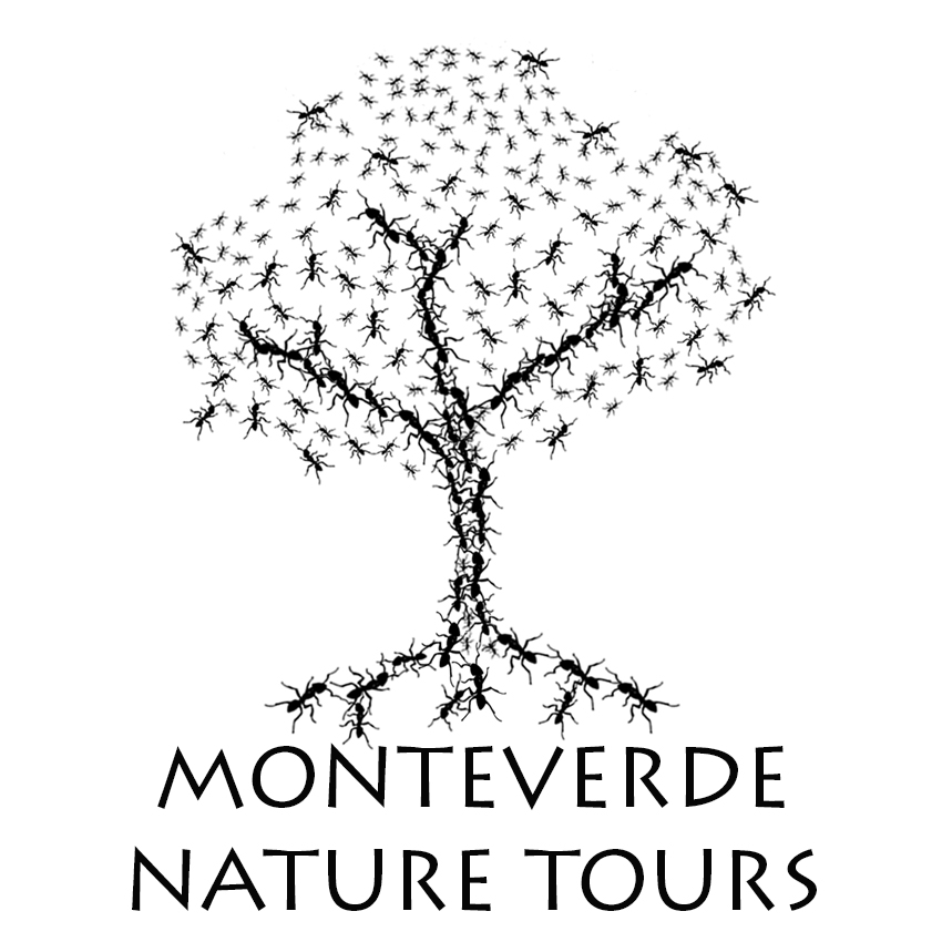 Monteverde Nature Tours